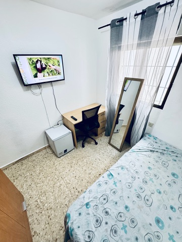 Habitación H41 · cama individual, escritorio, TV y ventana exterior
